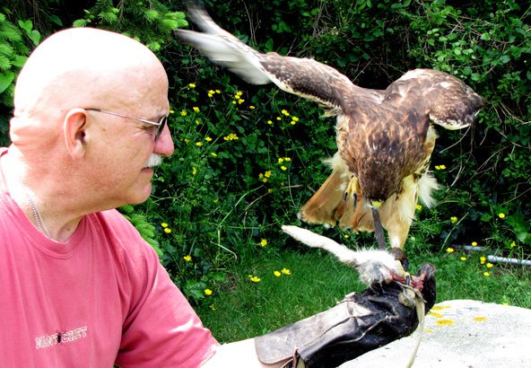 Lepore, Timothy (father) - hawk pic